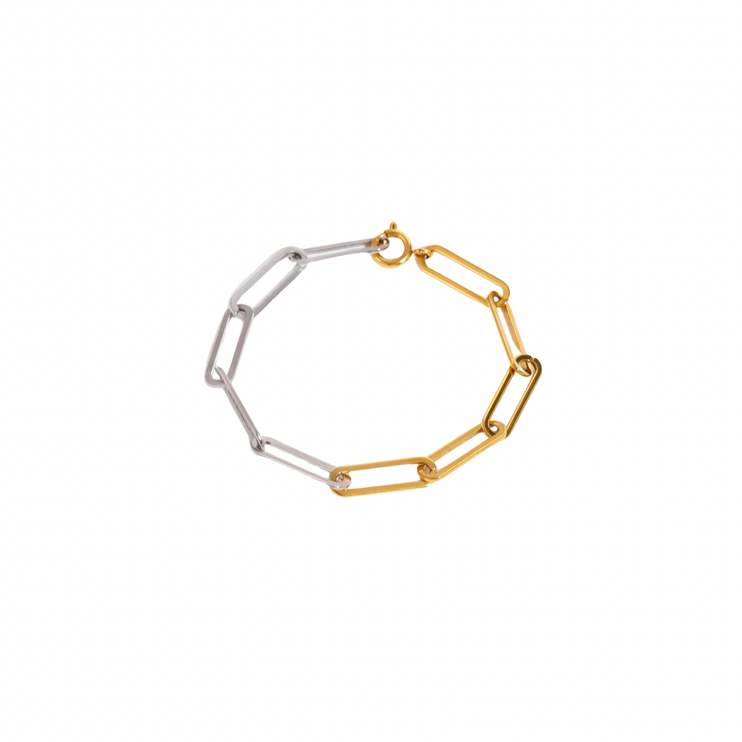 Two Tone Link Chain Bracelet